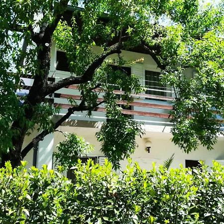 Felix Apartment Biograd Weißenburg Exterior foto
